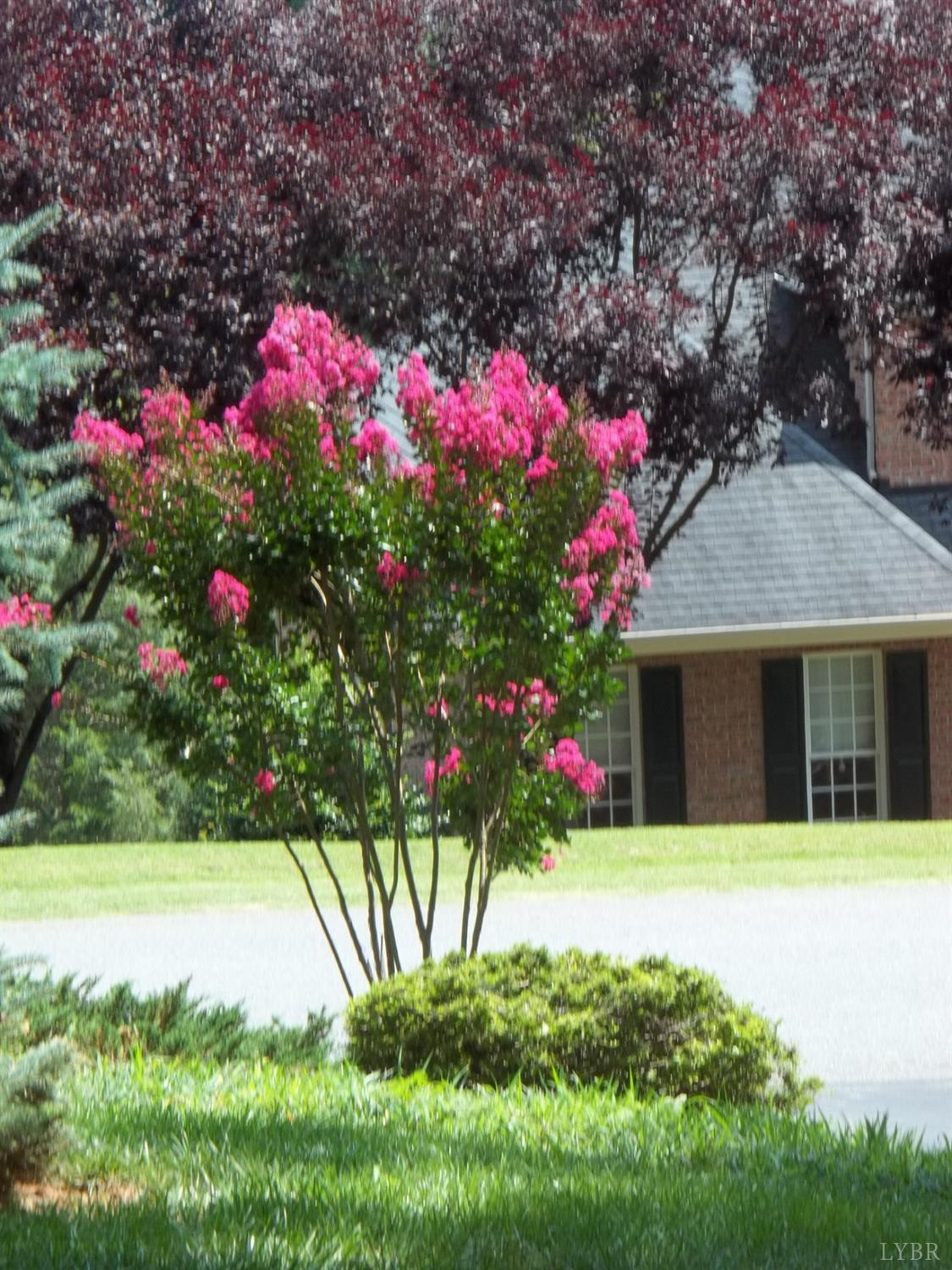 117 Sailview Drive Forest, VA 24551 - Photo 55 of 55 a front view of a house with a yard and fountain