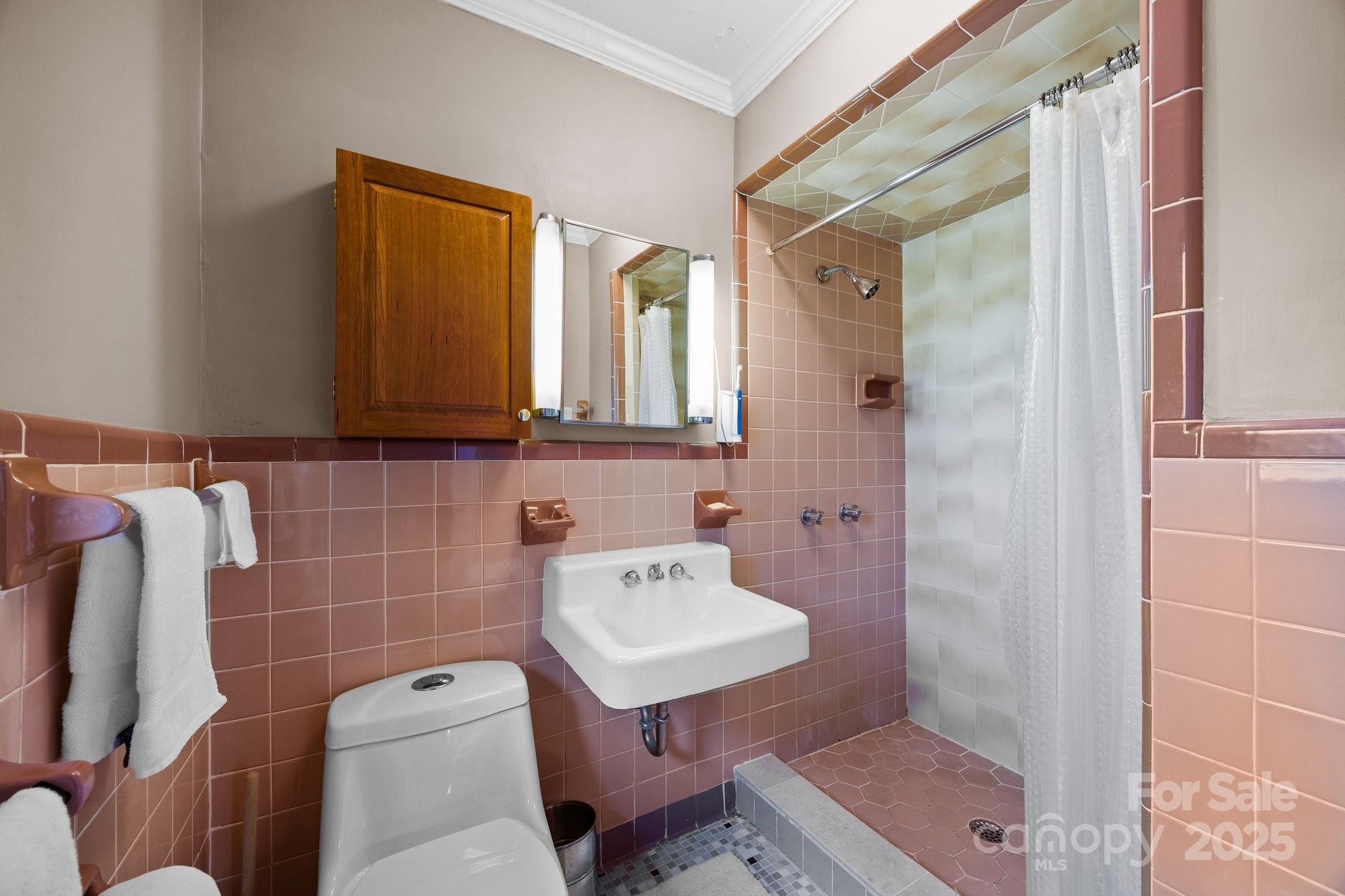 457 Overlook Drive Spruce Pine, NC 28777 - Photo 19 of 33 a bathroom with a toilet a sink and a mirror