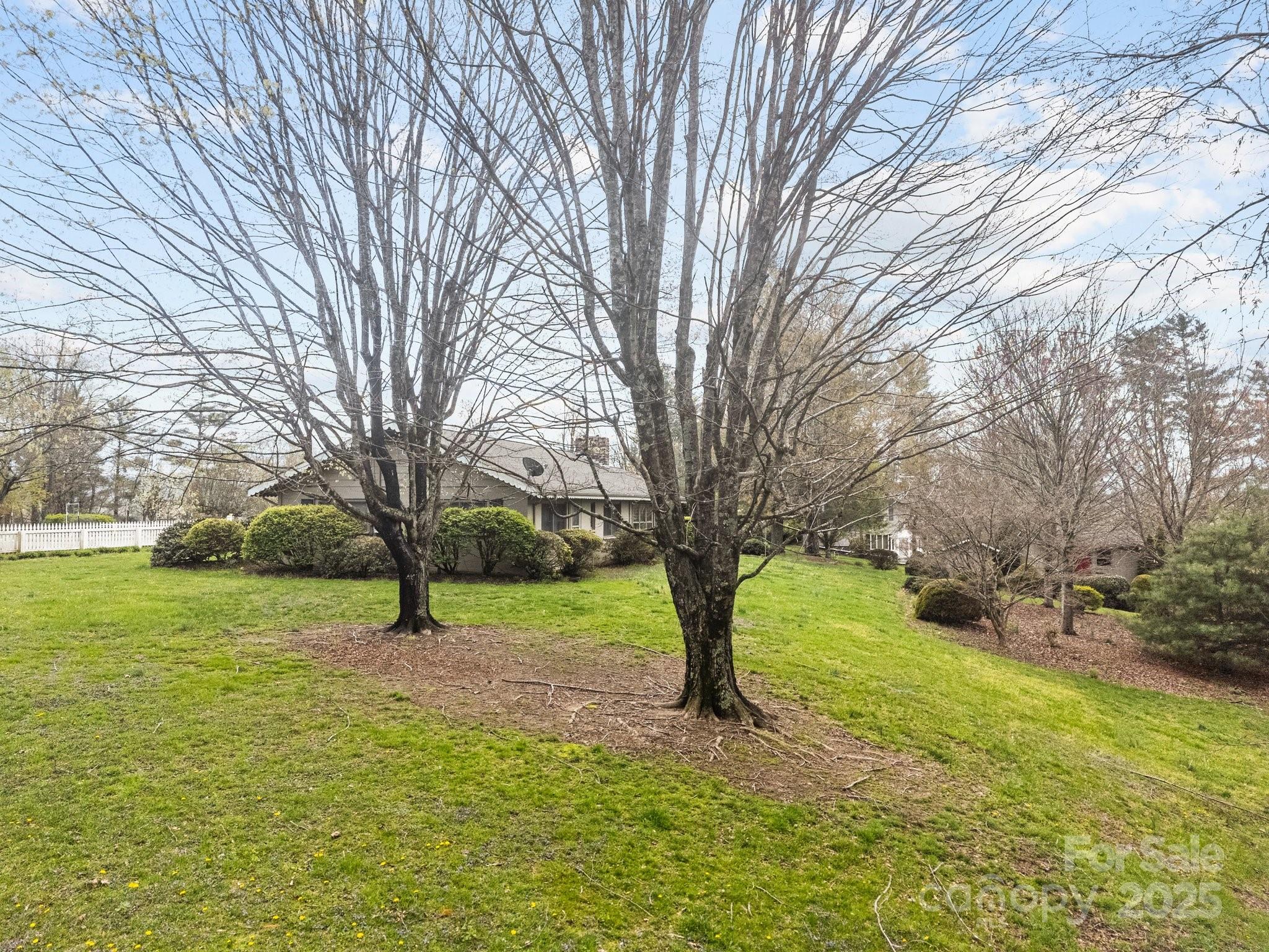 457 Overlook Drive Spruce Pine, NC 28777 - Photo 27 of 33 a view of yard with tree