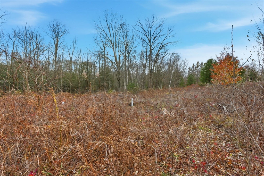Lot 2 Mine Road Westhampton, MA 01027 - Photo 13 of 18 a view of a room with a tree