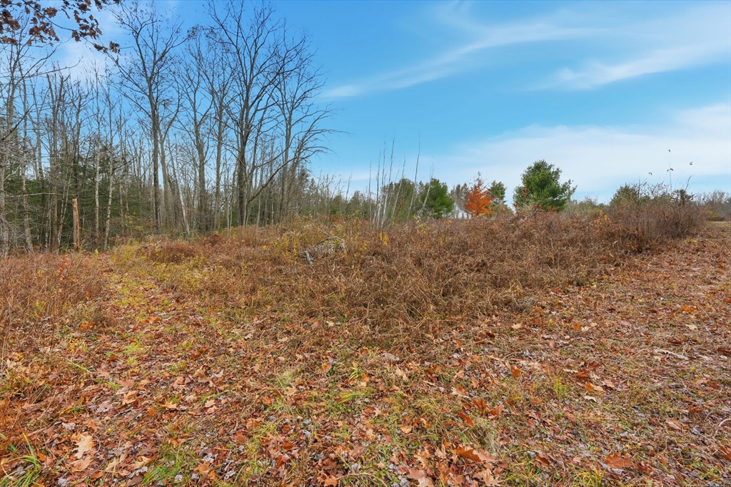 Lot 2 Mine Road Westhampton, MA 01027 - Photo 14 of 18 a view of a yard with a tree
