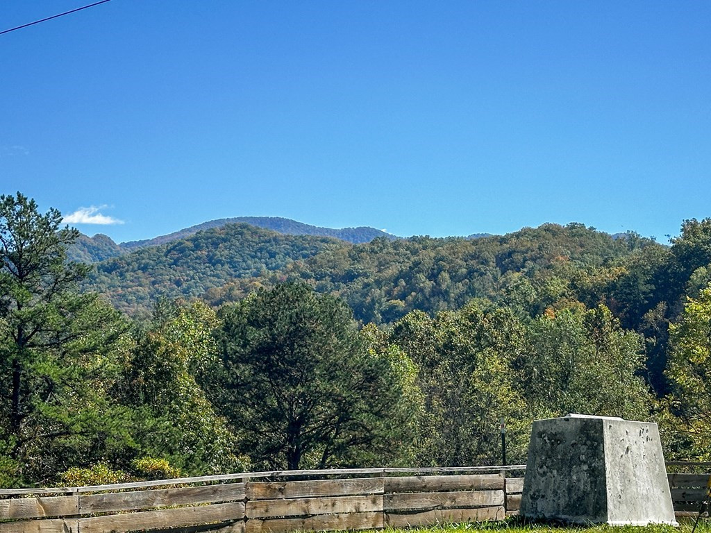 48 Jackie Cove Road Hayesville, NC 28904 - Photo 48 of 57 Gallery Image 48