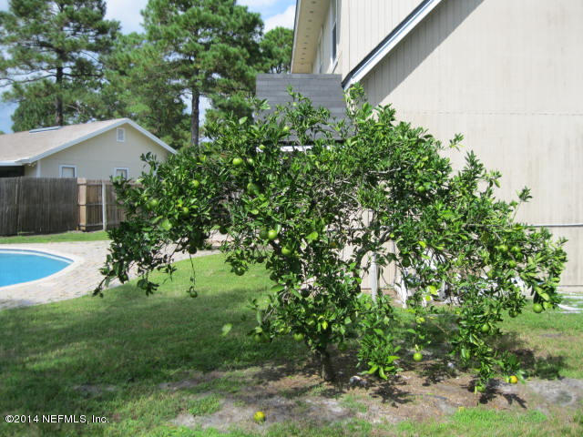 8339 Crosswind Road Jacksonville, FL 32244 - Photo 16 of 26 IMG_2758