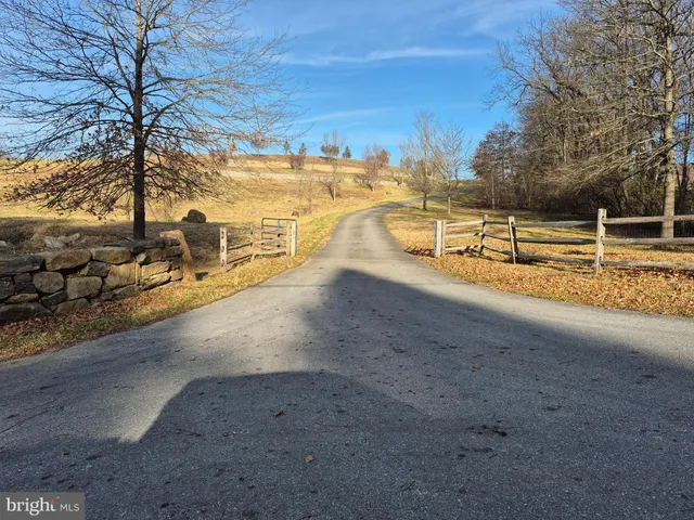 a view of a yard with an outdoor space