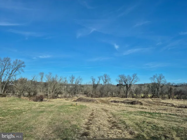 a view of a dry yard with trees