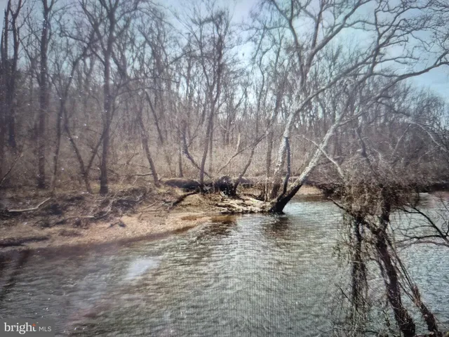 a view of a tree with a yard