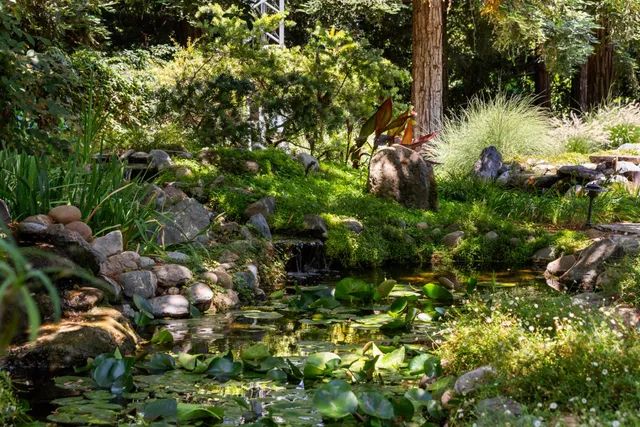 a view of a house with garden and sitting area