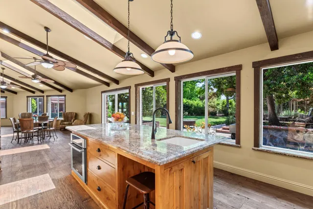 a view of a garden with plants