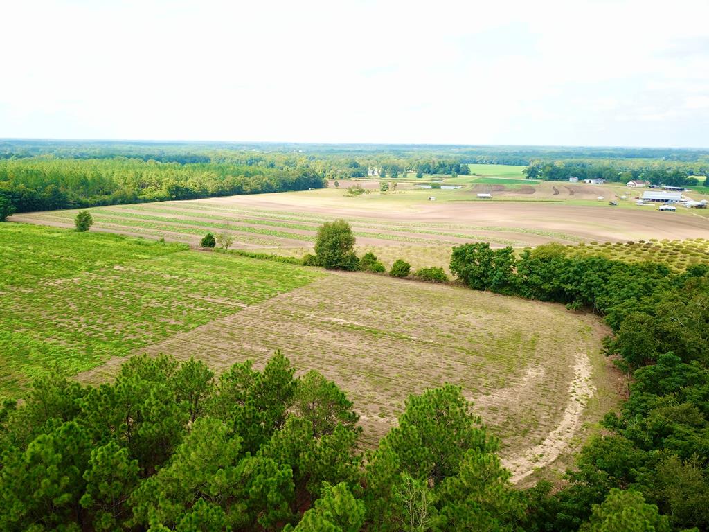 10.69-acres Summer Road Slocomb, AL 36375 - Photo 38 of 51