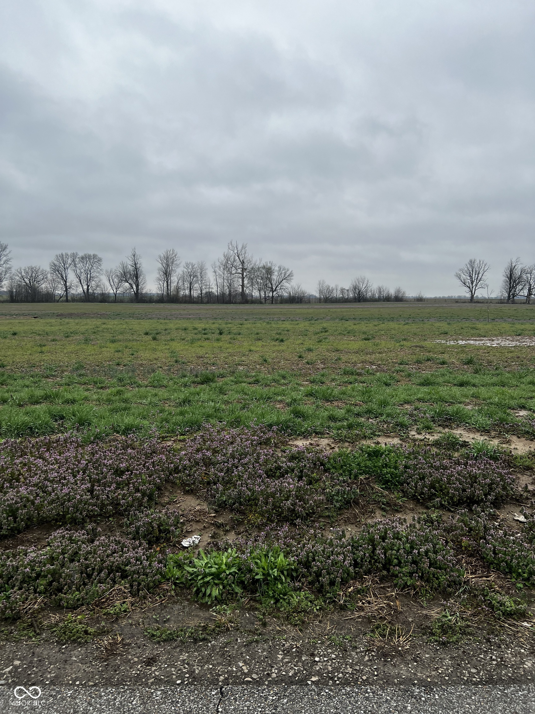 Lot 4 Walters Road Martinsville, IN 46151 - Photo 2 of 13 Gallery Image 2
