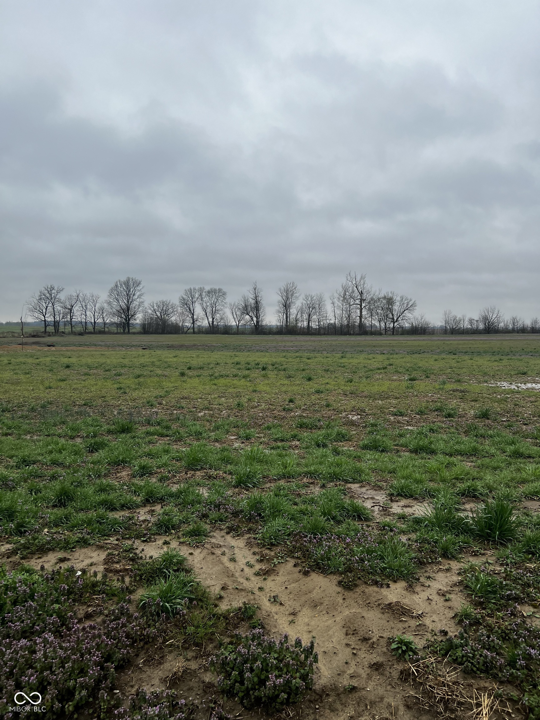 Lot 4 Walters Road Martinsville, IN 46151 - Photo 3 of 13 Gallery Image 3