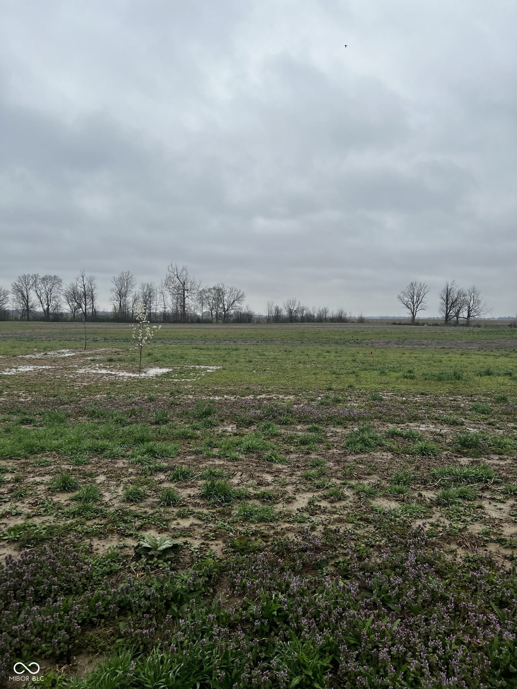 Lot 4 Walters Road Martinsville, IN 46151 - Photo 5 of 13 Gallery Image 5