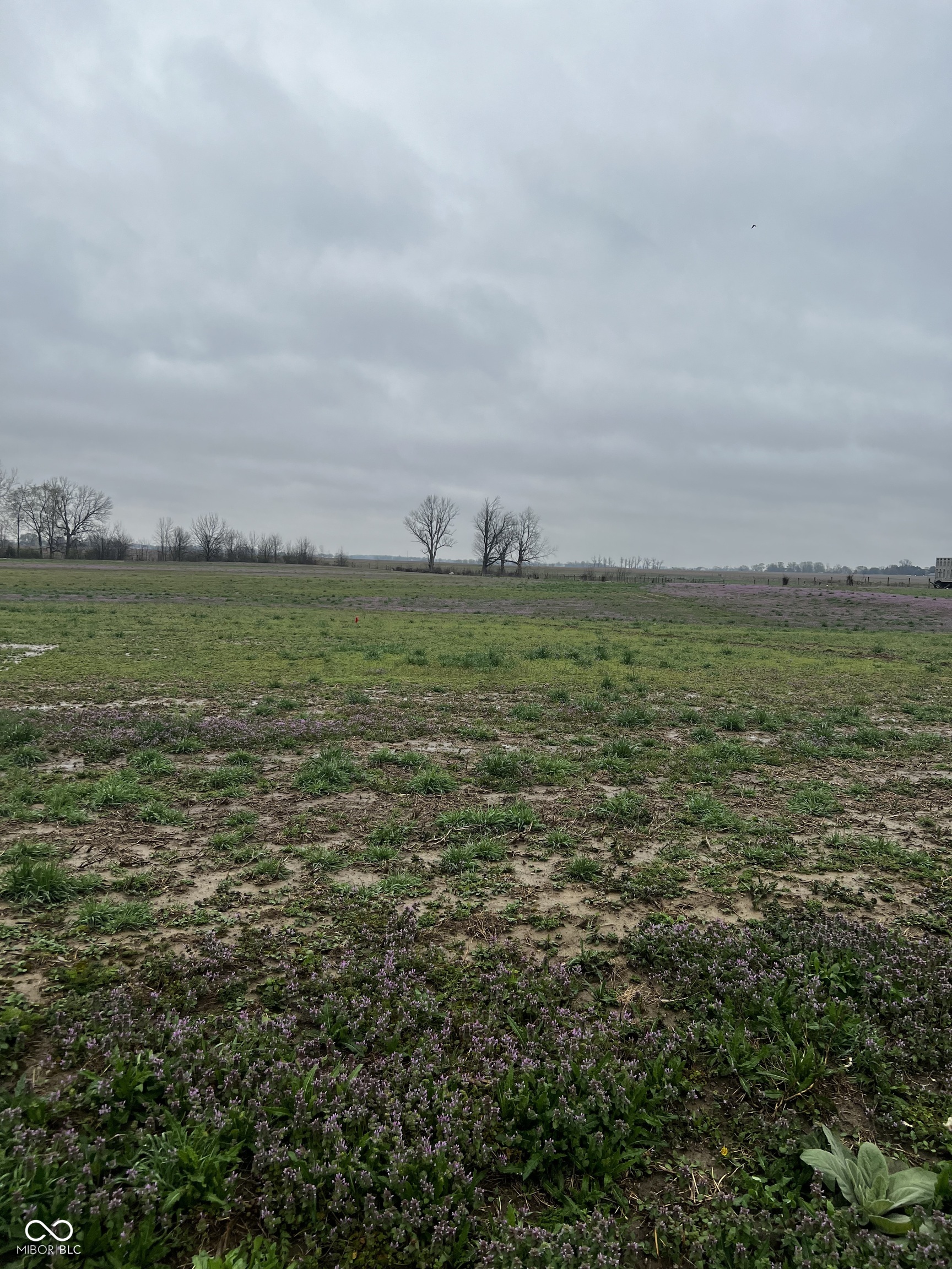 Lot 4 Walters Road Martinsville, IN 46151 - Photo 6 of 13 Gallery Image 6
