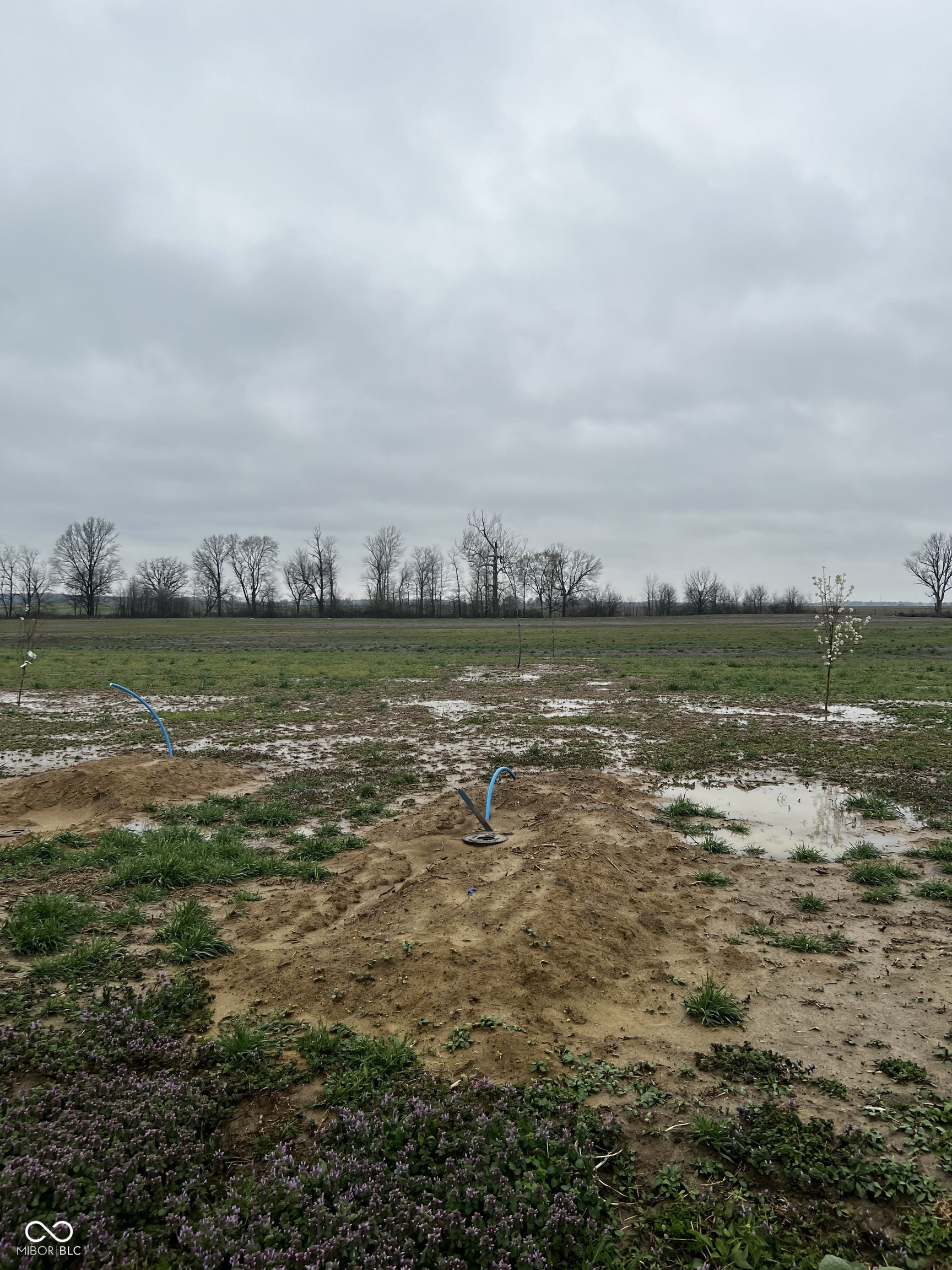 Lot 4 Walters Road Martinsville, IN 46151 - Photo 7 of 13 Gallery Image 7