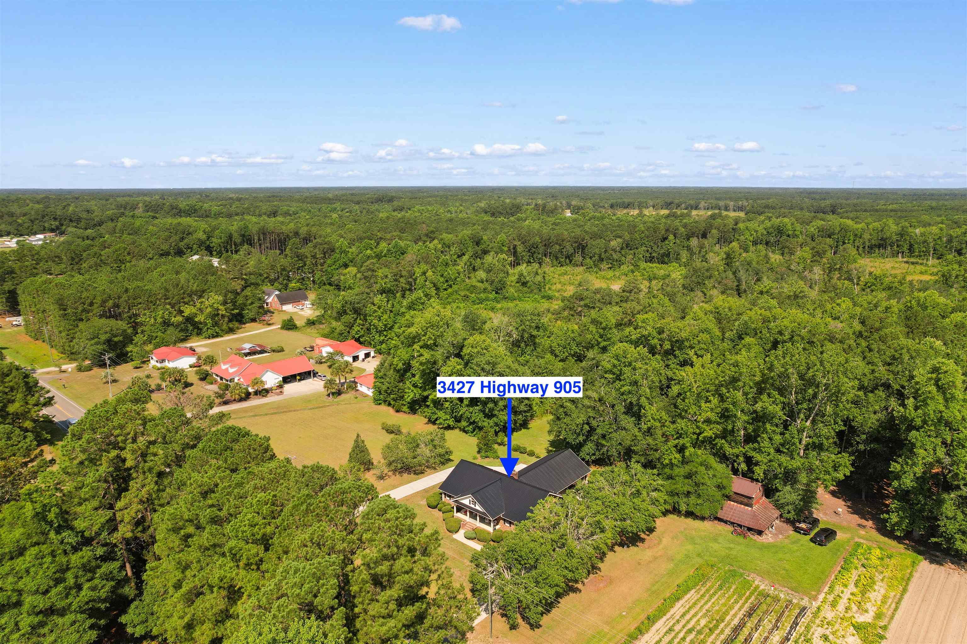 3427 Highway 905 Conway, SC 29526 - Photo 45 of 47