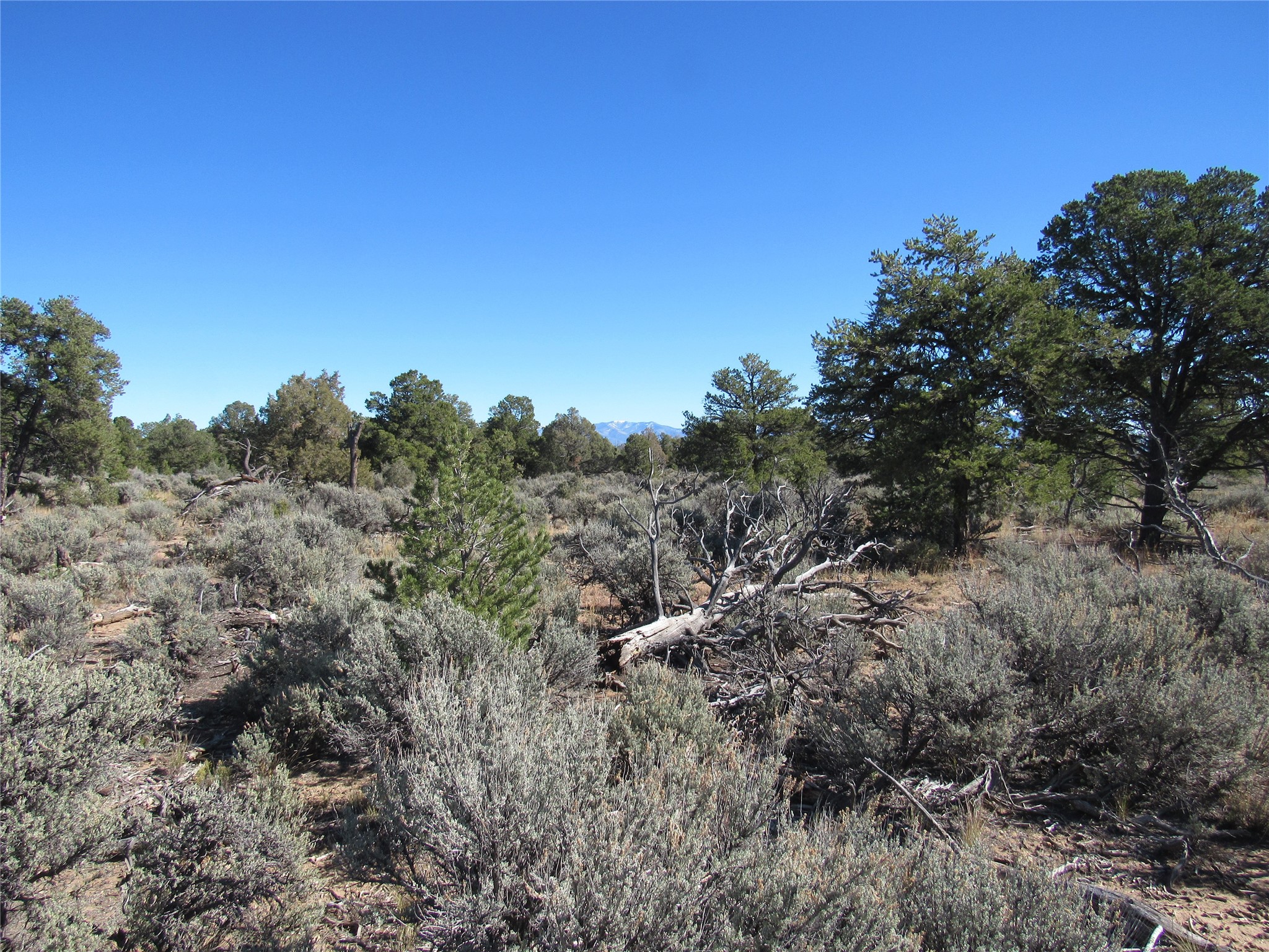 Lot 57 Servilleta Carson, NM 87517 - Photo 6 of 10