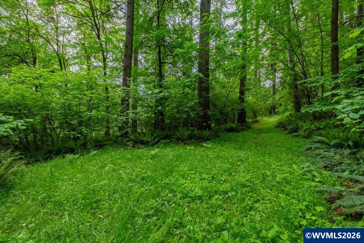 0057485 Next To 40587 Baptist Church Road Lebanon, OR 97355 - Photo 21 of 38