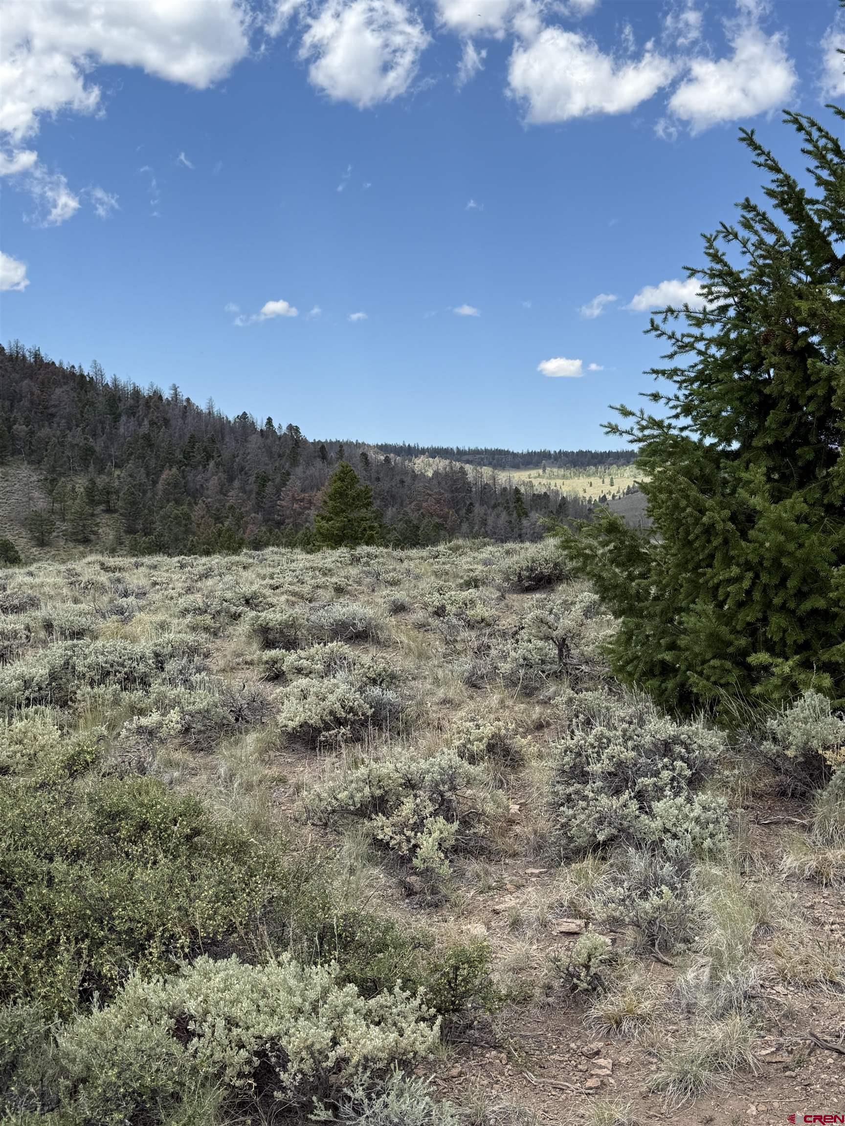 151 Trailridge Trail Powderhorn, CO 81243 - Photo 4 of 11