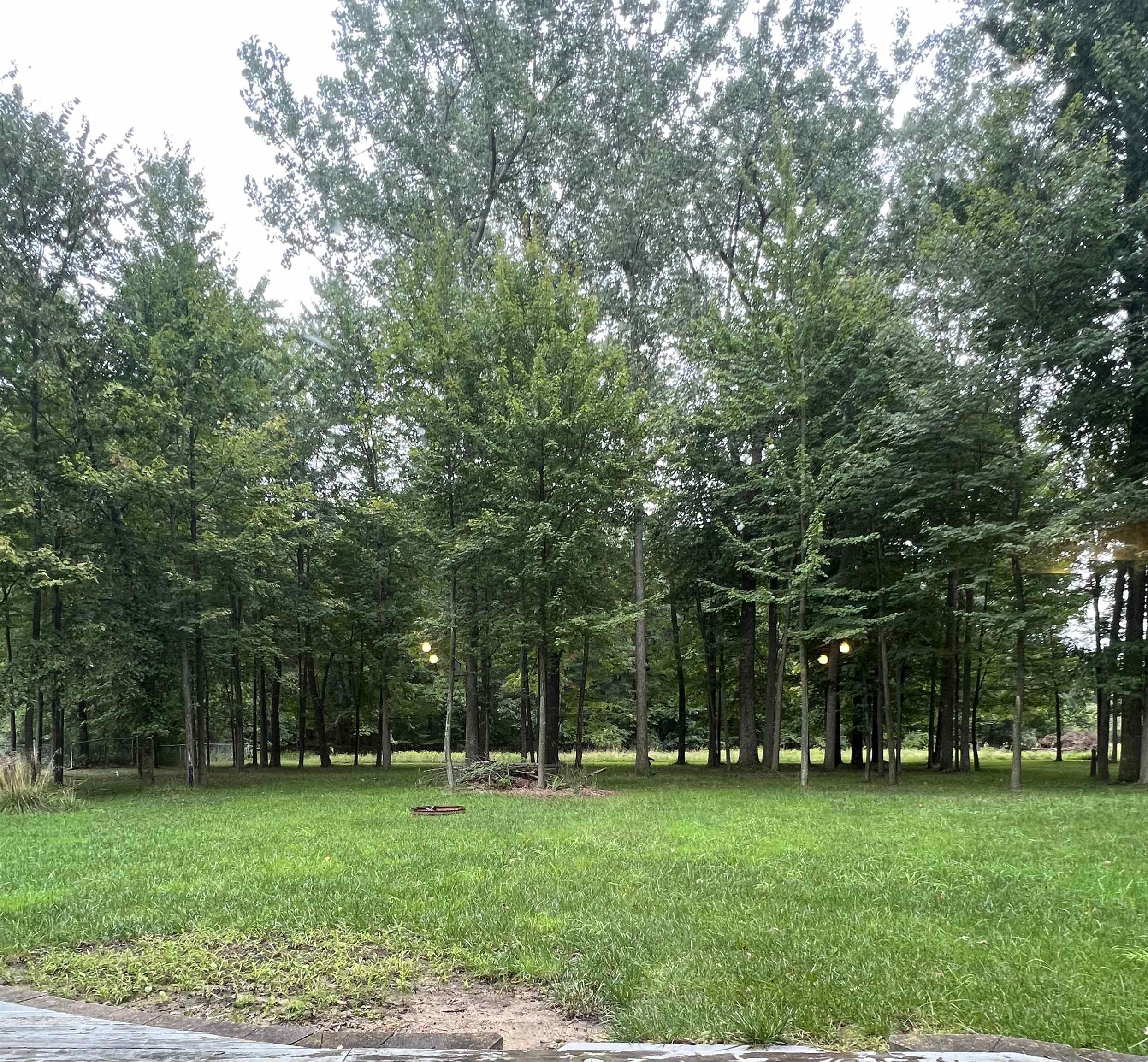 11525 Elms Road Birch Run, MI 48415 - Photo 36 of 38 50121730-36.JPG