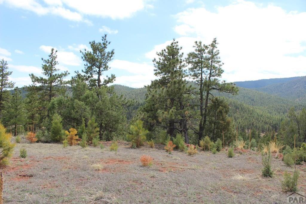 4100 Northcreek Road Beulah, CO 81023 - Photo 10 of 19 Gallery Image 10