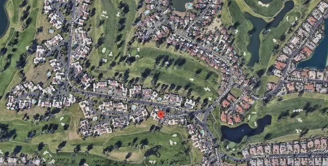 a city view with tall trees