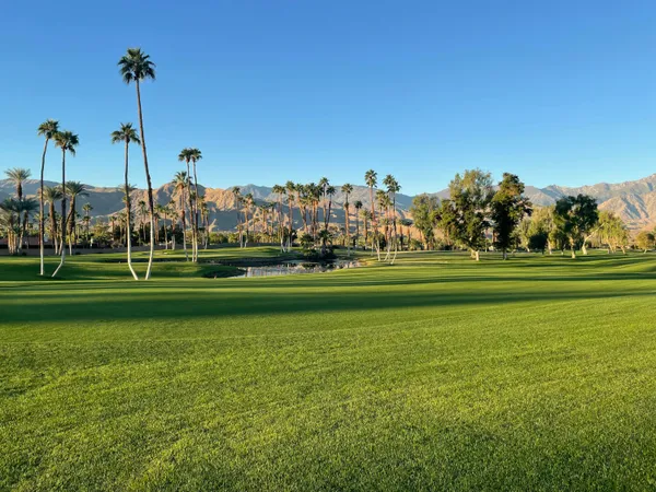 a view of a park