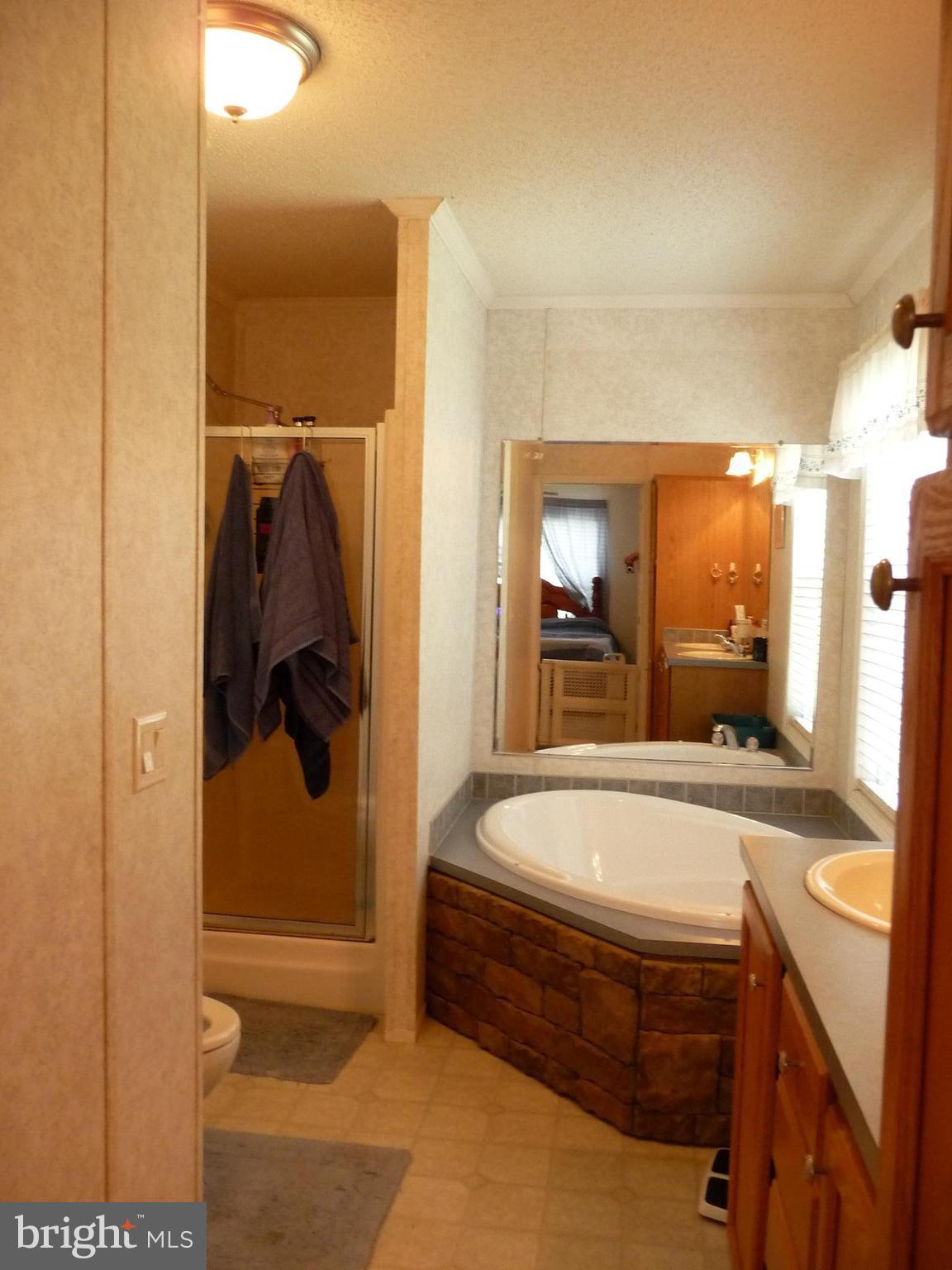17026 Tysons Center Road Orange, VA 22960 - Photo 12 of 27 Soaking tub and separate shower.