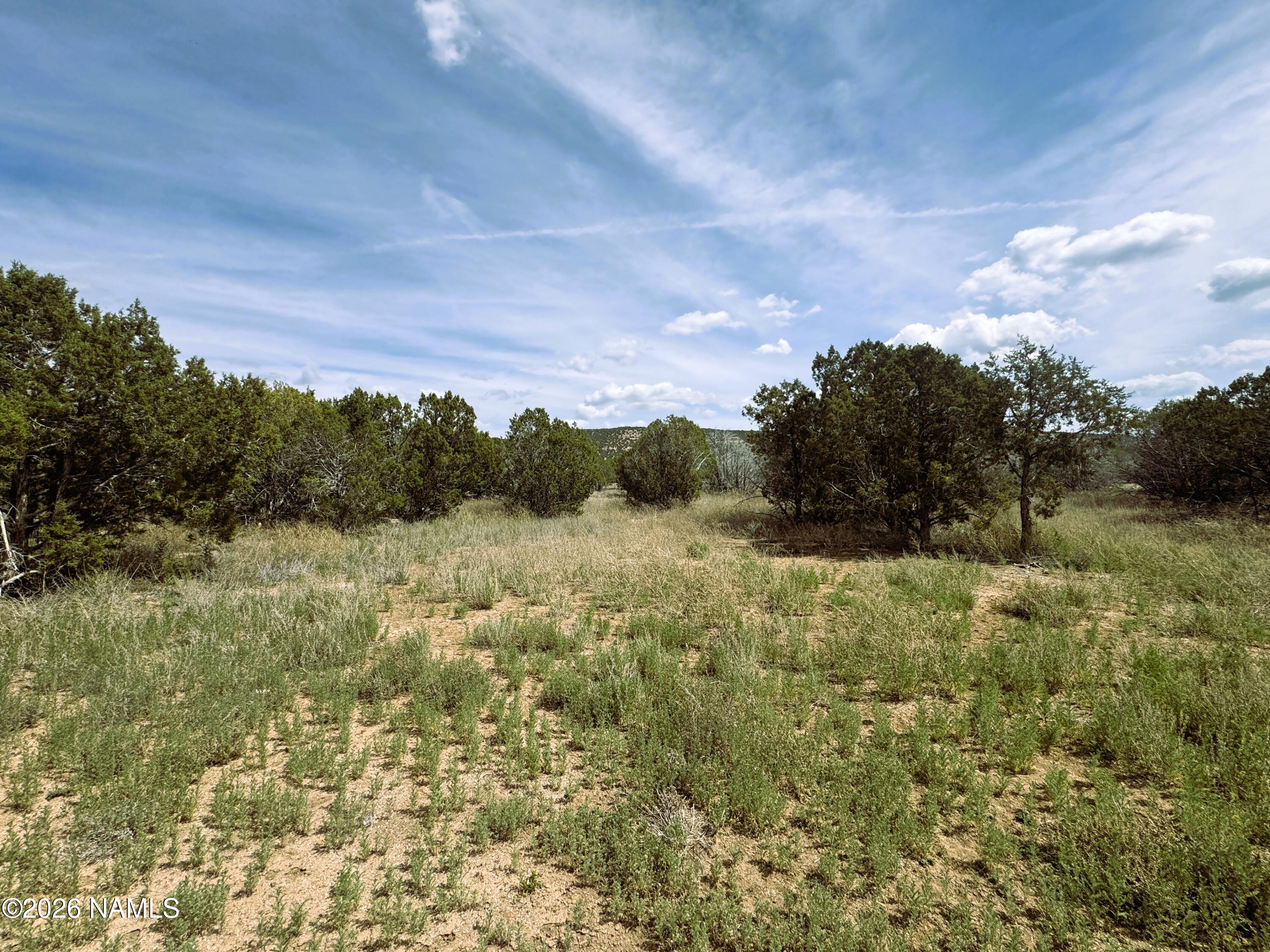 4399 Quarry Road Williams, AZ 86046 - Photo 11 of 13 land