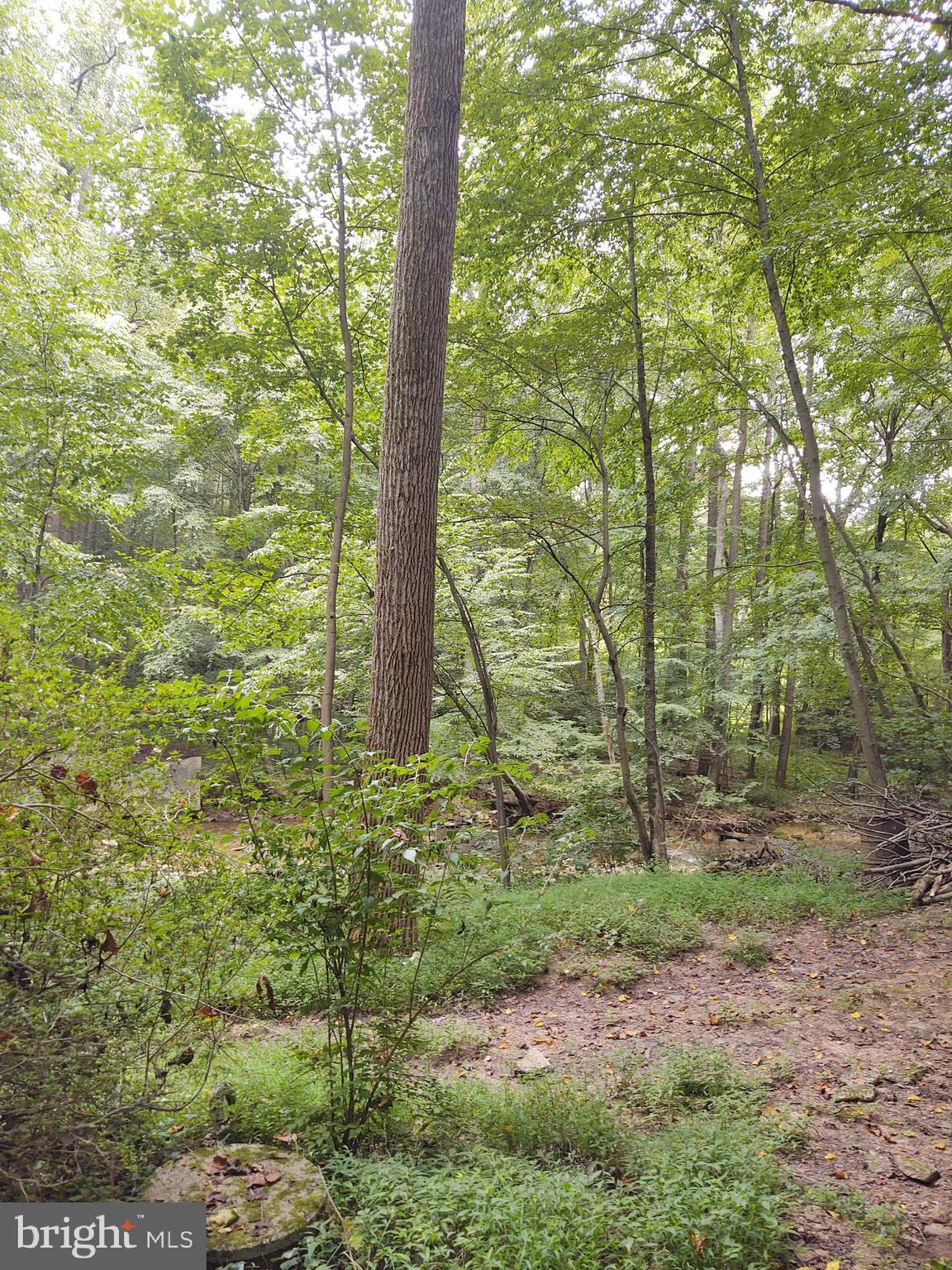 128 Hemlock Hollow Road Delta, PA 17314 - Photo 11 of 11 Gallery Image 11