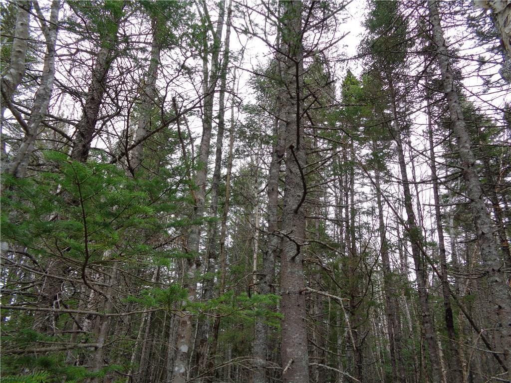 Lot 70-7 Peninsula Road Corea, ME 04624 - Photo 14 of 14 Photo