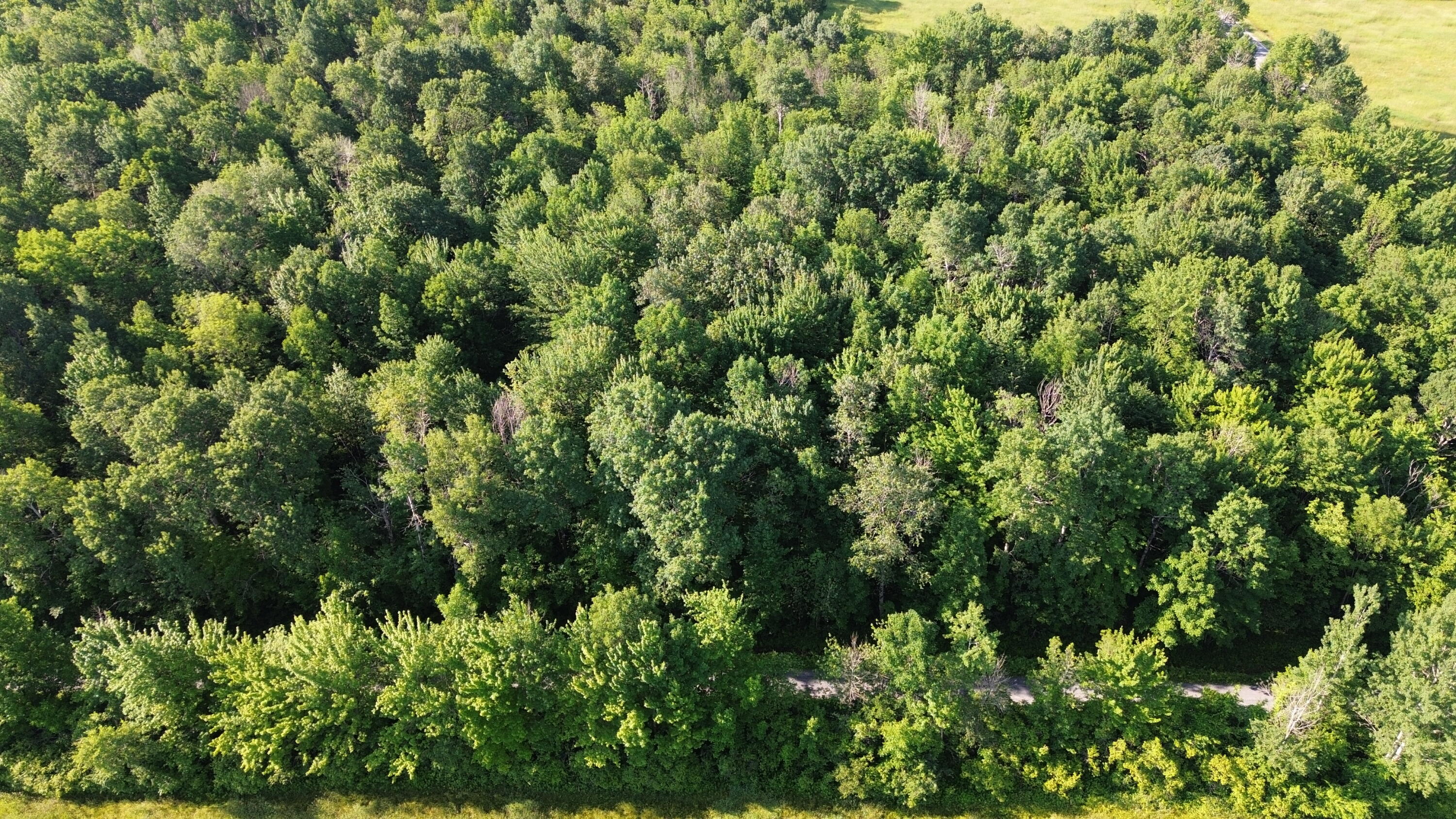 . Lost Nation Road Churubusco, NY 12923 - Photo 18 of 34 DJI_0473