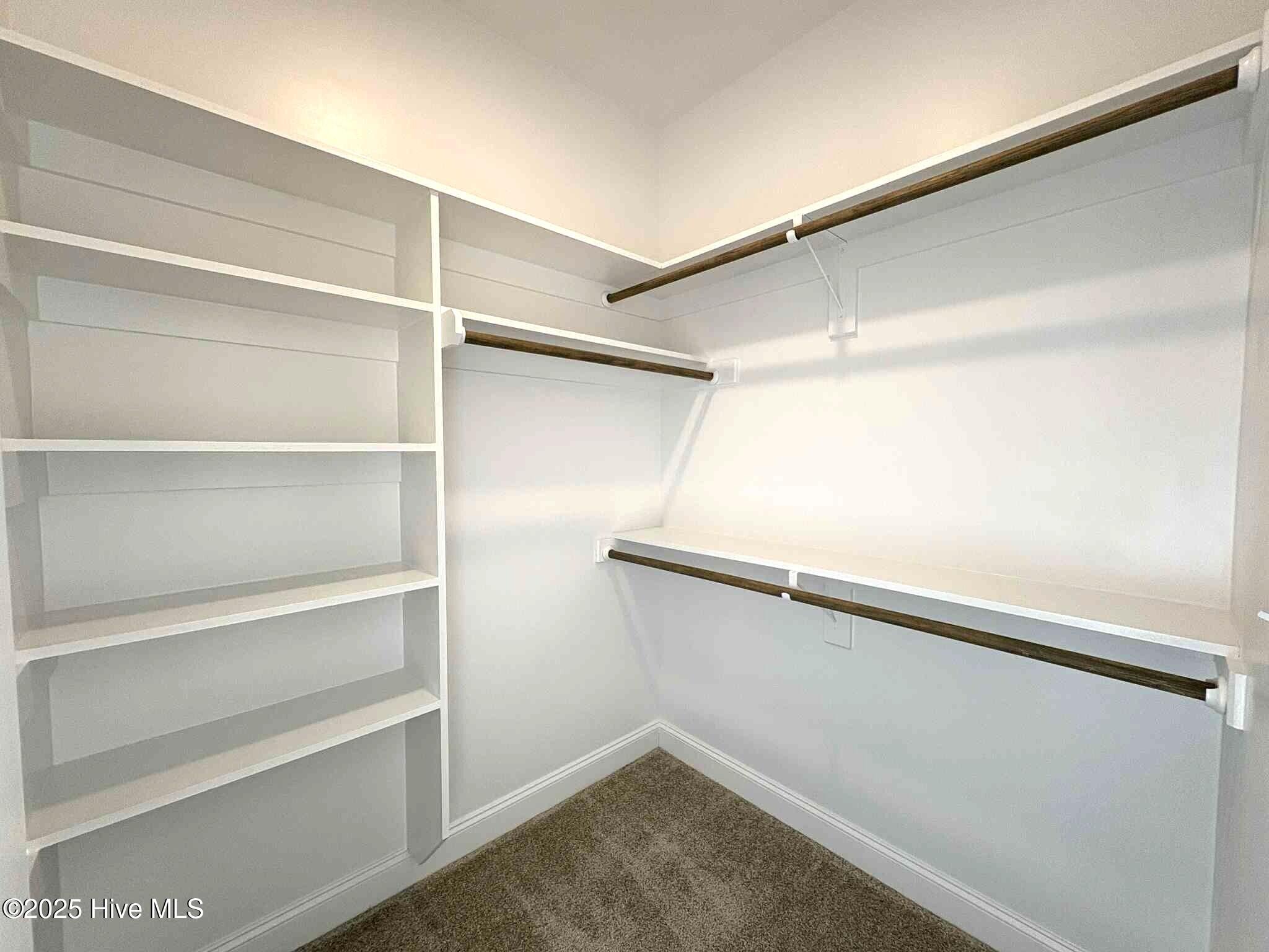 1665 South Old Carriage Road Rocky Mount, NC 27804 - Photo 40 of 60 His/Hers Closets