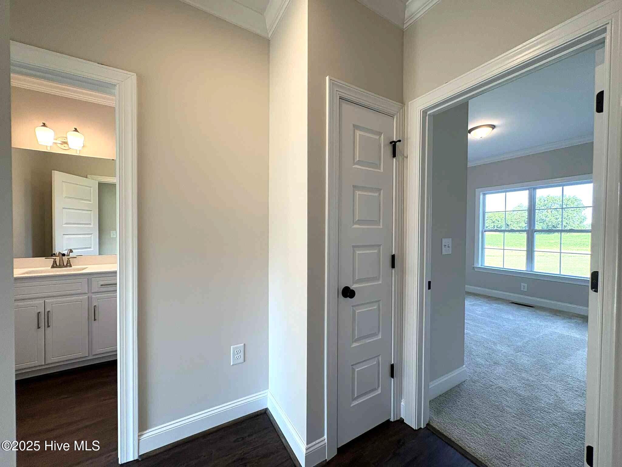 1665 South Old Carriage Road Rocky Mount, NC 27804 - Photo 48 of 60 Bedroom #3