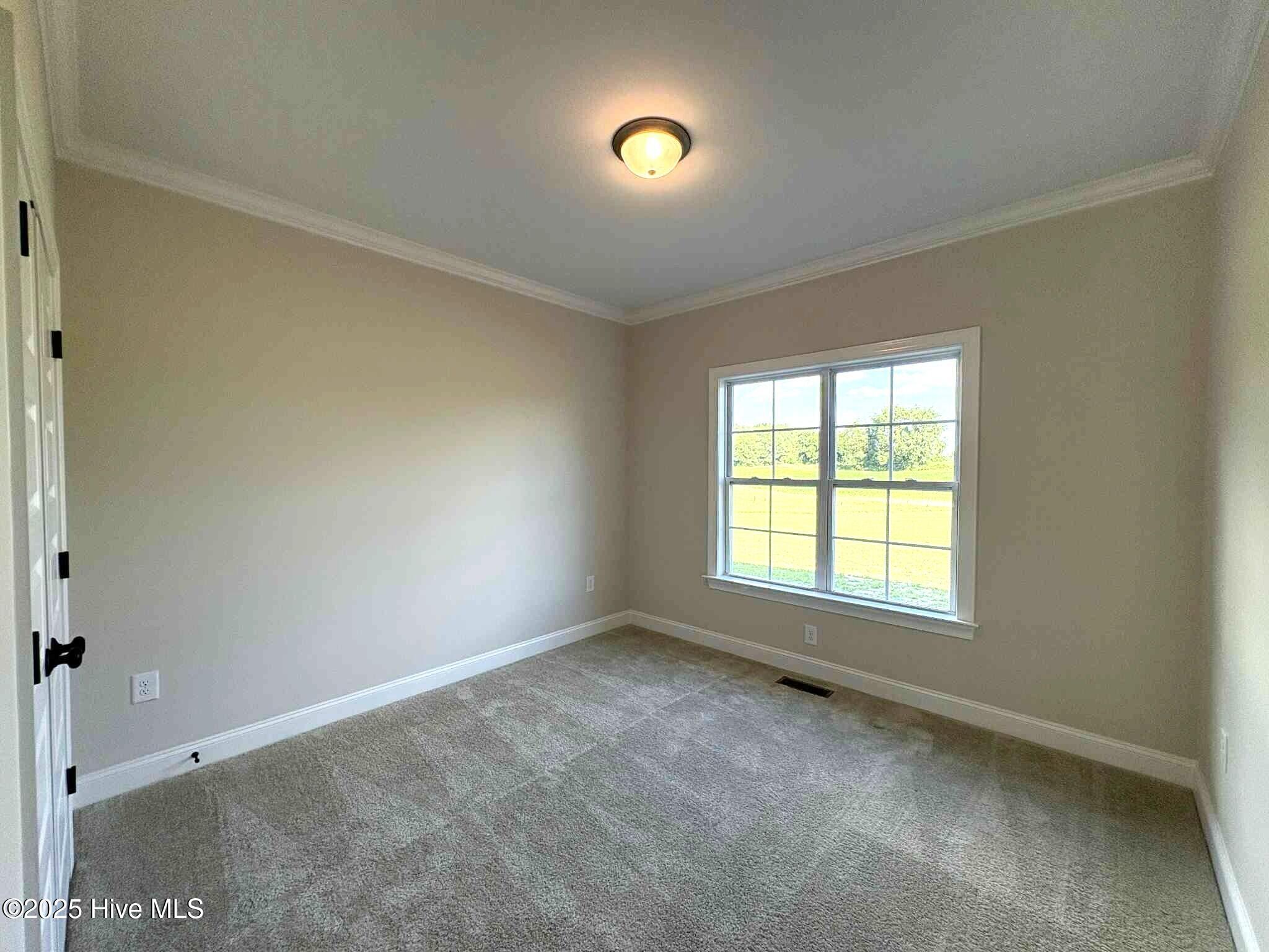 1665 South Old Carriage Road Rocky Mount, NC 27804 - Photo 49 of 60 Bedroom #3