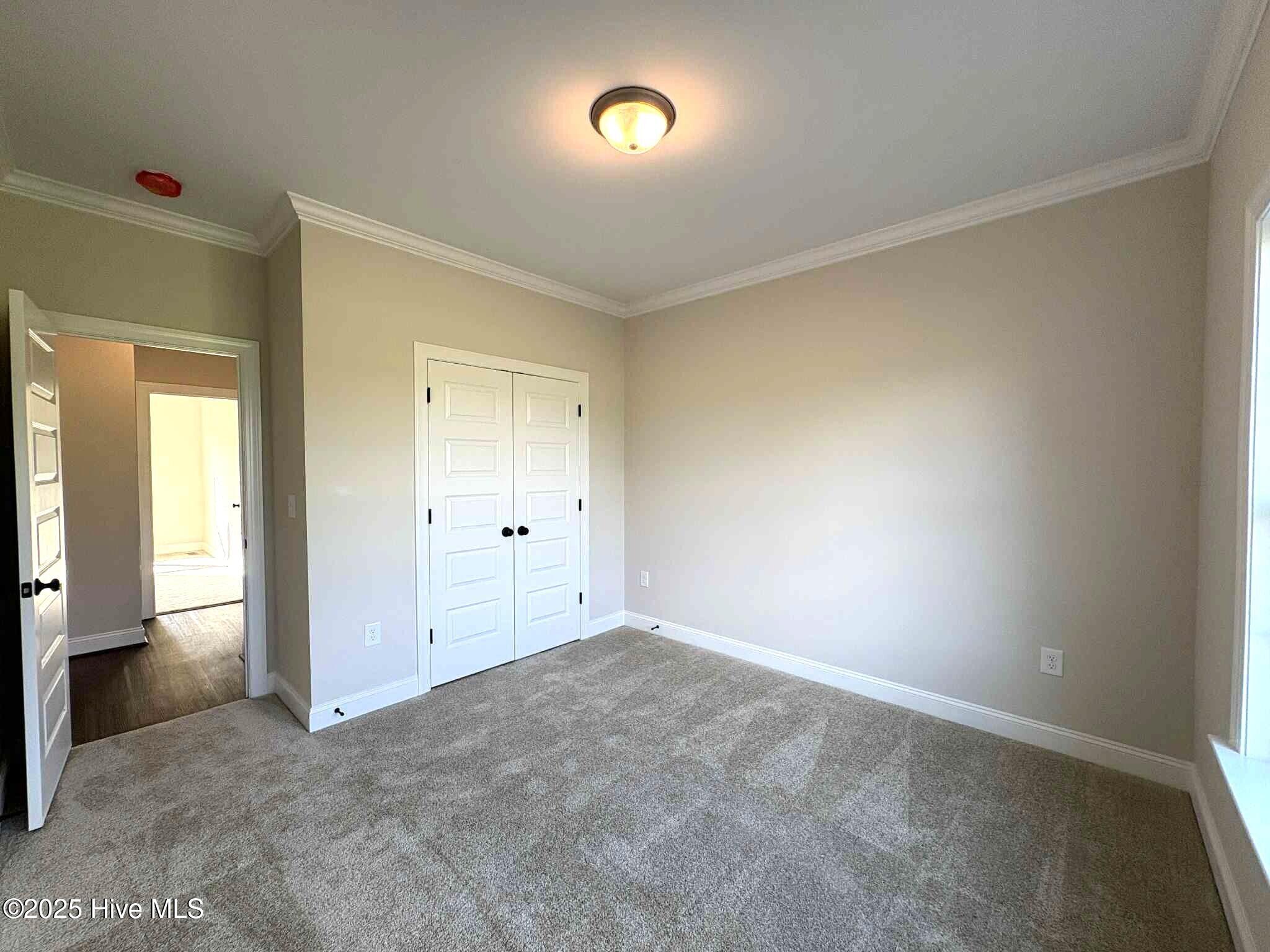 1665 South Old Carriage Road Rocky Mount, NC 27804 - Photo 51 of 60 Bedroom #3