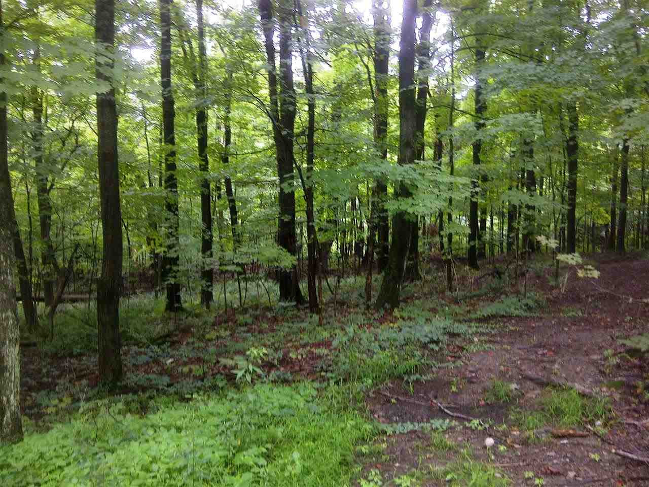 Silver Bridge Road Nassau, NY 12123 - Photo 1 of 1 Photo 1