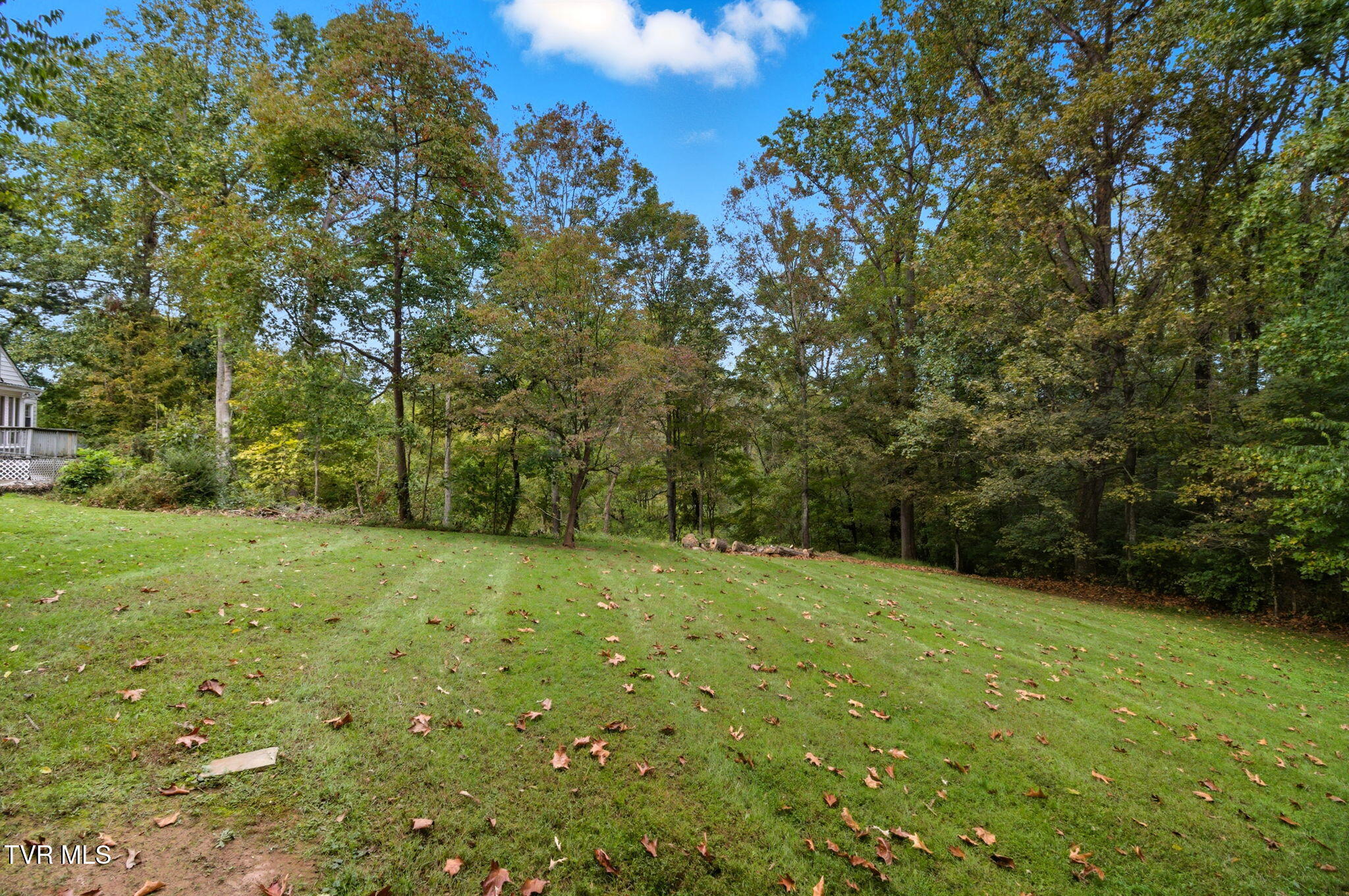 1411 Erwin Highway Greeneville, TN 37745 - Photo 36 of 44 38-web-or-mls-DZ3A6550
