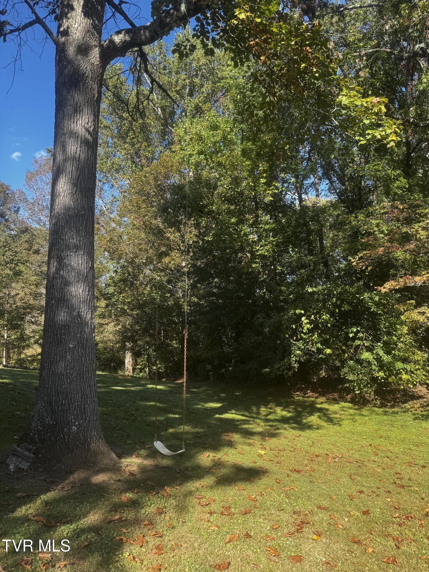 1411 Erwin Highway Greeneville, TN 37745 - Photo 37 of 44 IMG_4895