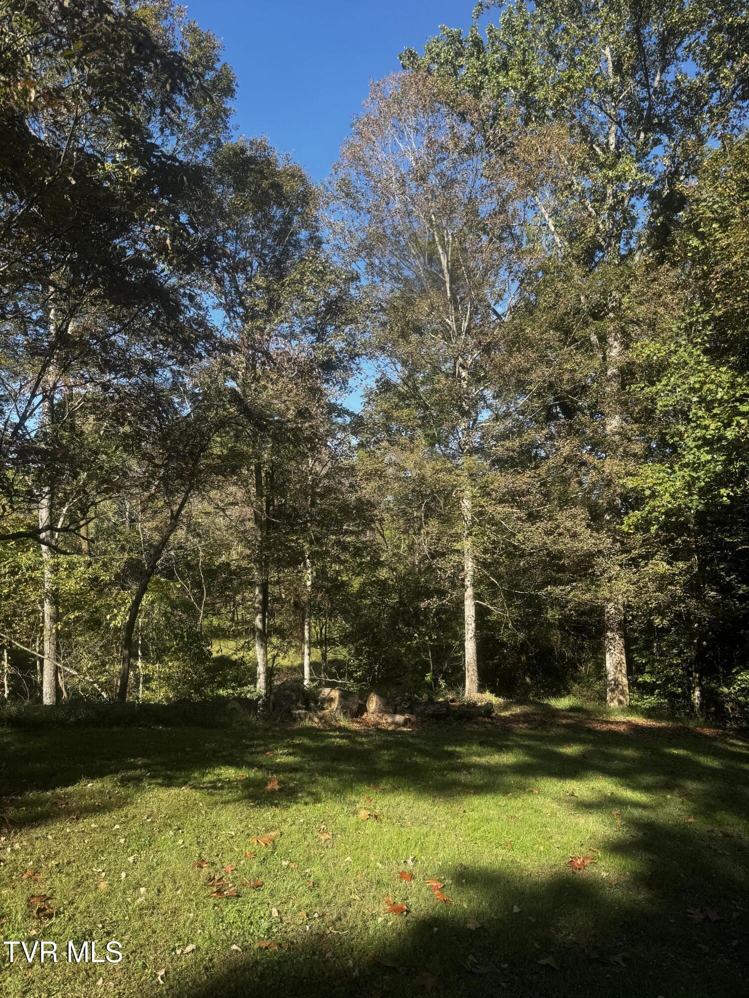 1411 Erwin Highway Greeneville, TN 37745 - Photo 38 of 44 IMG_4897