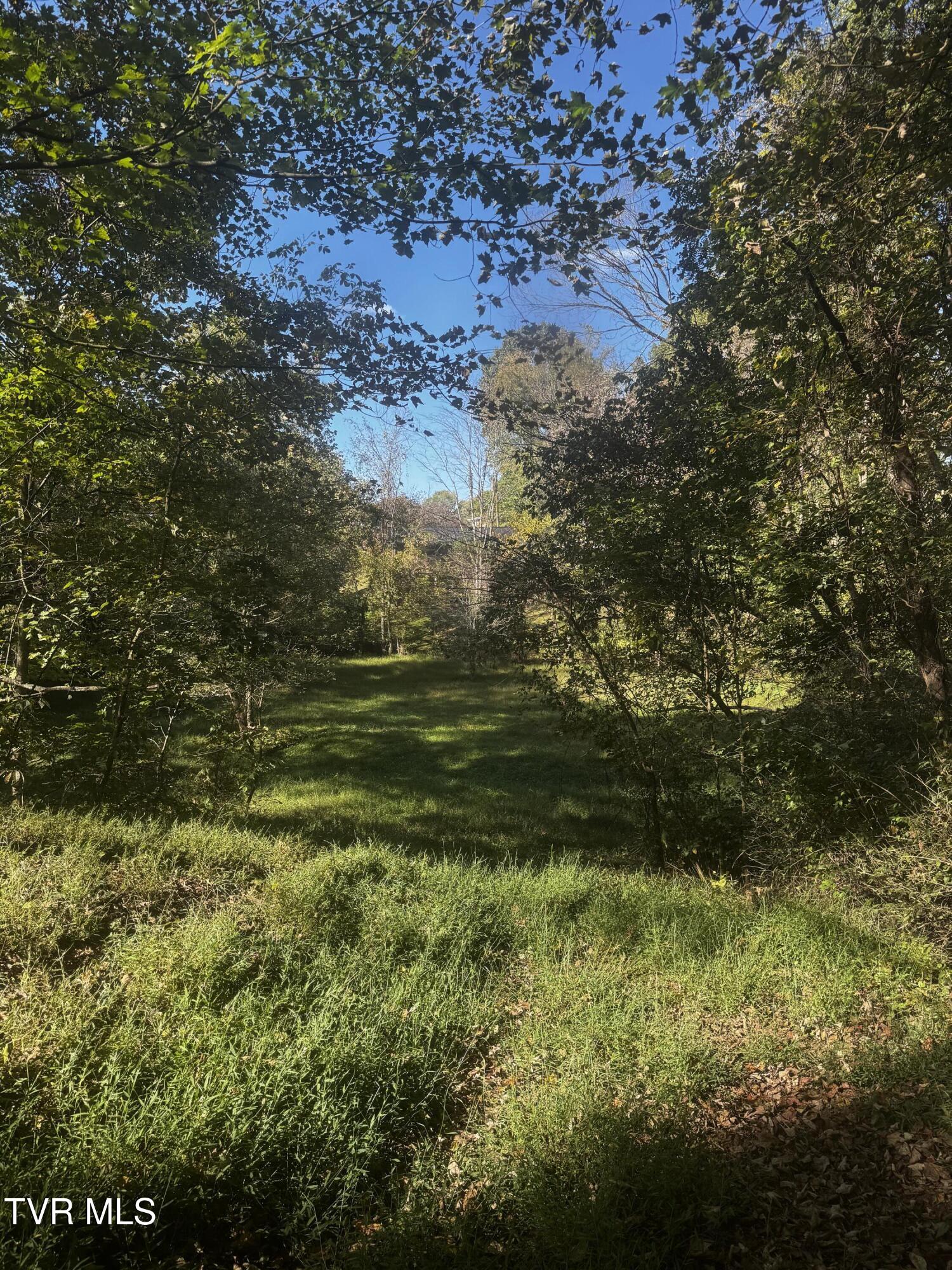 1411 Erwin Highway Greeneville, TN 37745 - Photo 39 of 44 IMG_4898