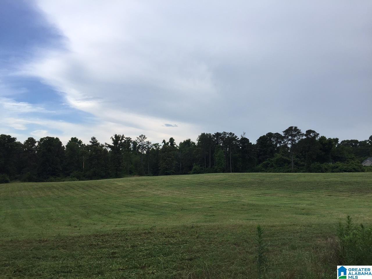 949 11th Street, Unit 1 Pleasant Grove, AL 35127 - Photo 2 of 4