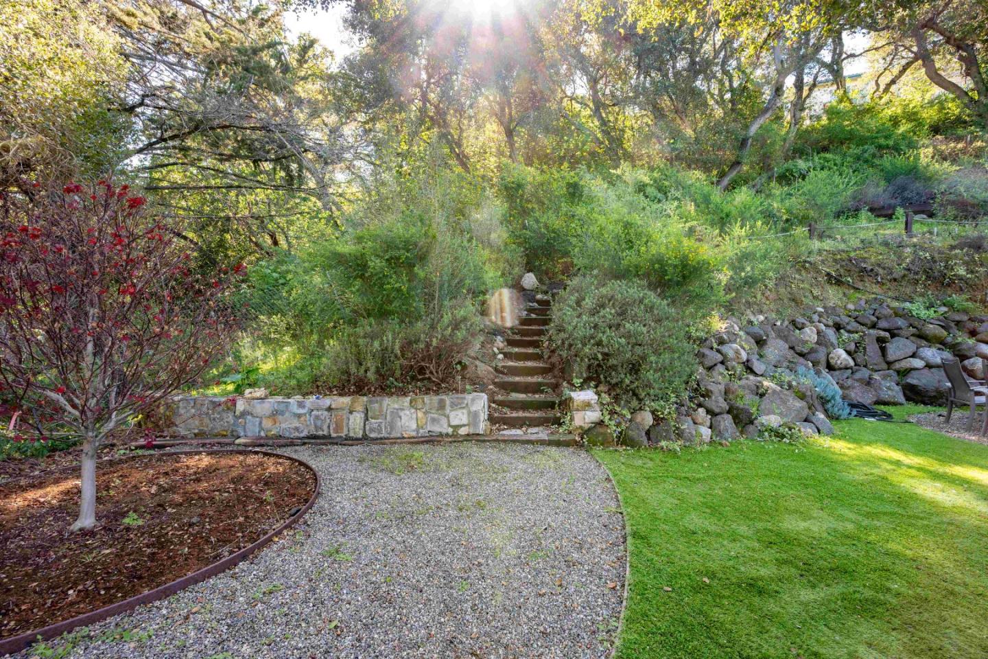 60 Los Ositos Road Carmel Valley, CA 93924 - Photo 33 of 47 a view of a yard with large trees