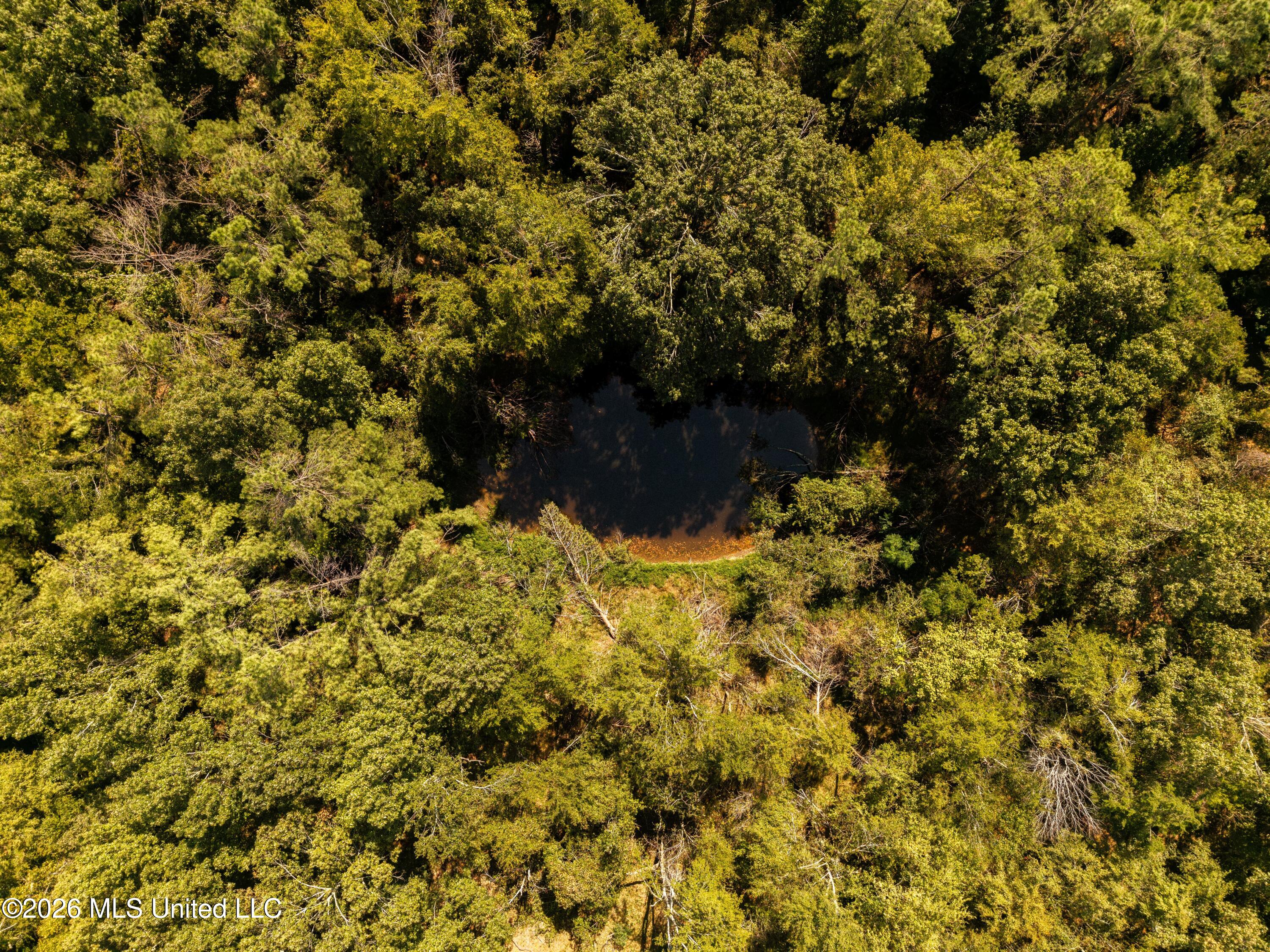 0 Hubbard Road Pope, MS 38658 - Photo 13 of 14 DJI_20260821105032_0005_D