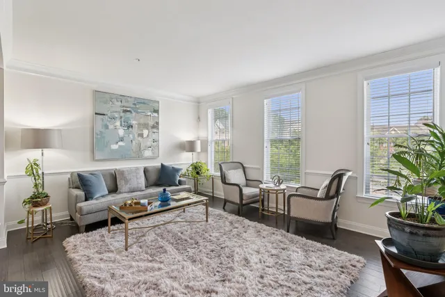 a living room with furniture rug and window