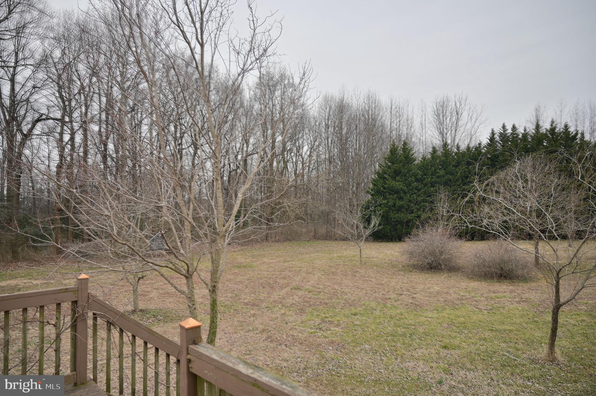 11132 River Road Ridgely, MD 21660 - Photo 14 of 63 Gallery Image 14