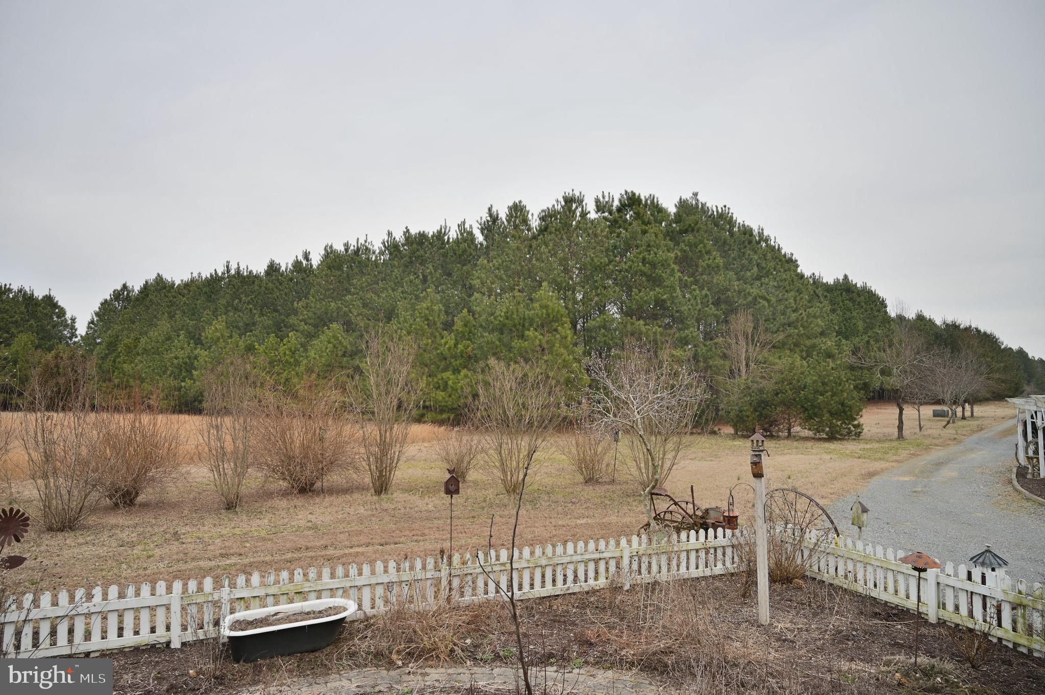 11132 River Road Ridgely, MD 21660 - Photo 15 of 63 Gallery Image 15