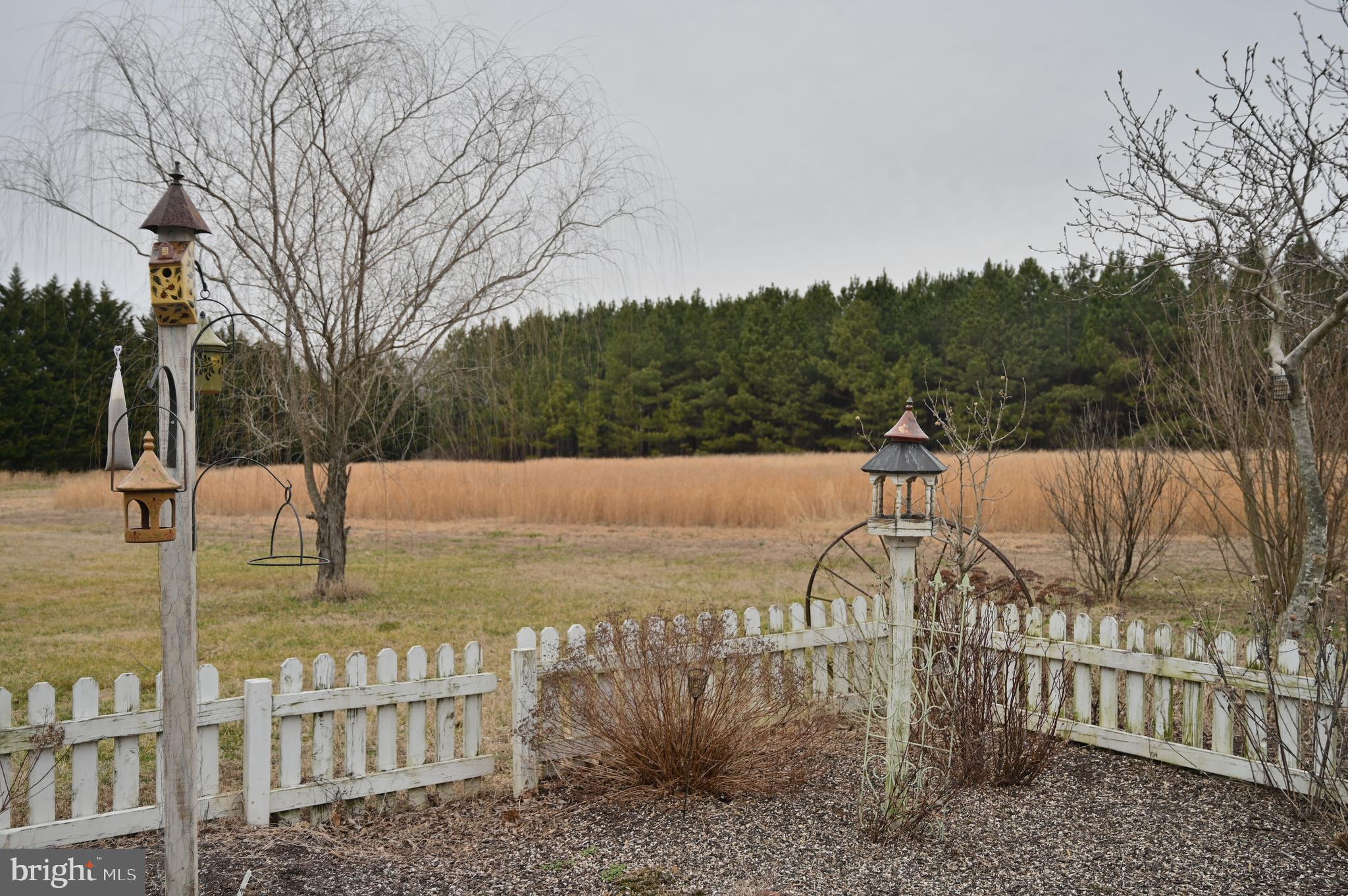 11132 River Road Ridgely, MD 21660 - Photo 16 of 63 Gallery Image 16