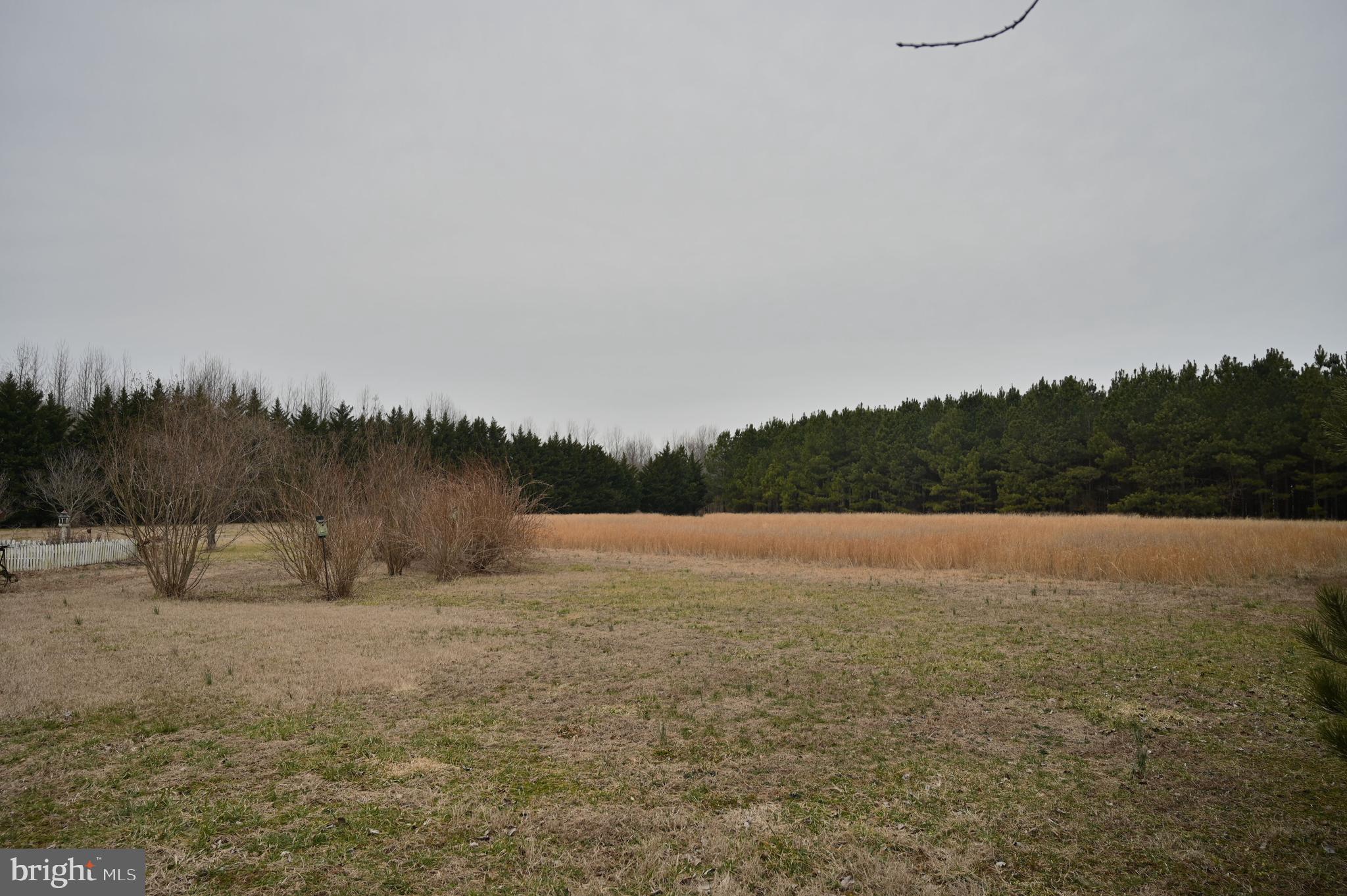 11132 River Road Ridgely, MD 21660 - Photo 17 of 63 Gallery Image 17