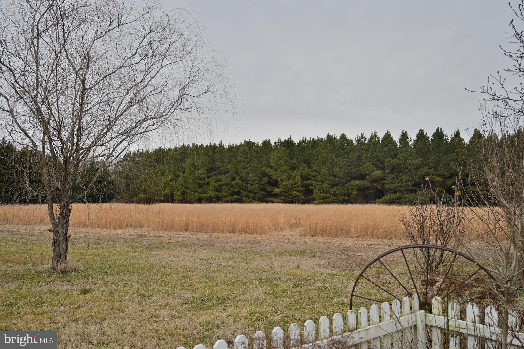 11132 River Road Ridgely, MD 21660 - Photo 18 of 63 Gallery Image 18