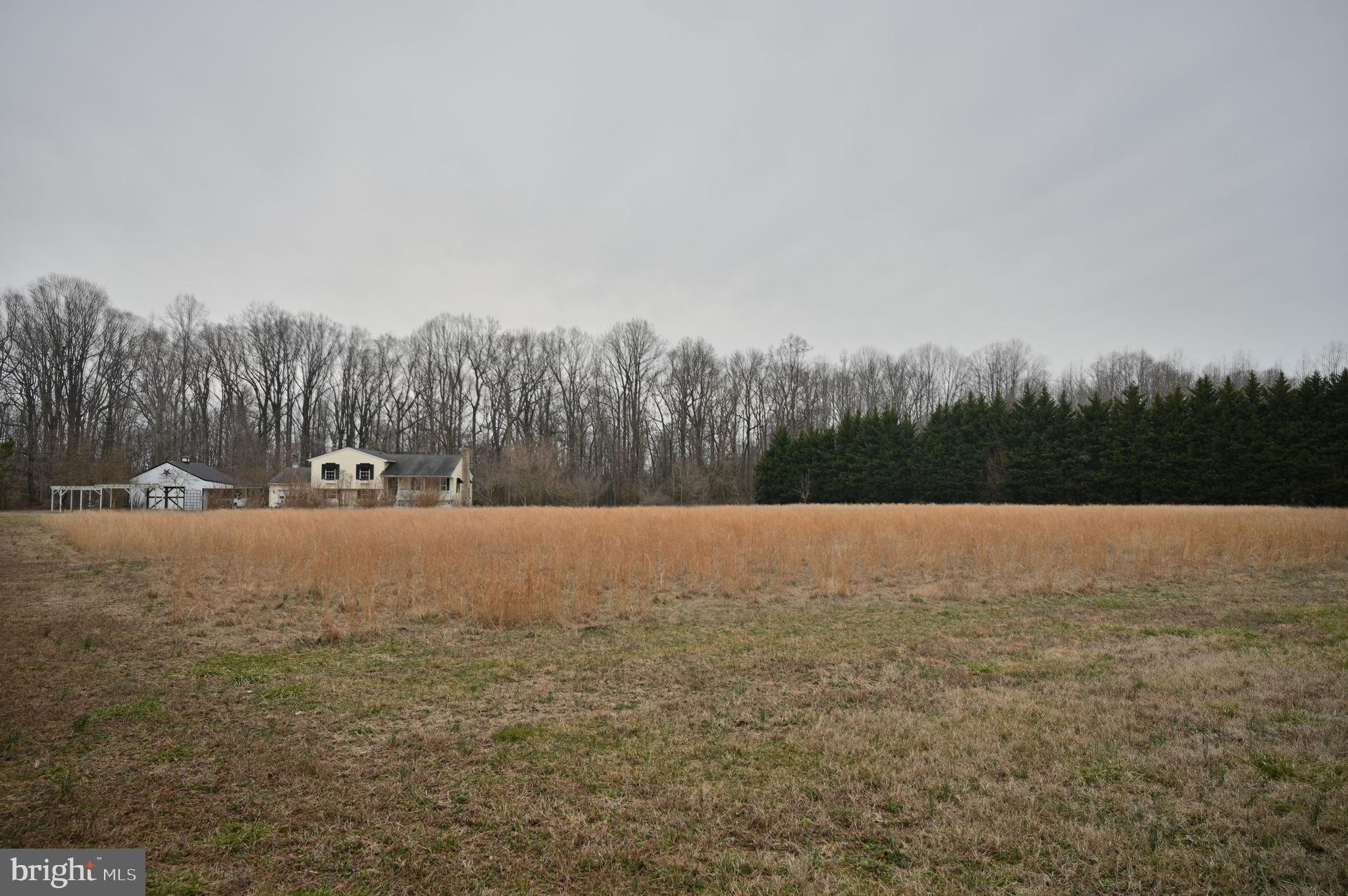 11132 River Road Ridgely, MD 21660 - Photo 19 of 63 Gallery Image 19